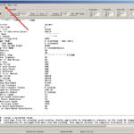 GunInfo1