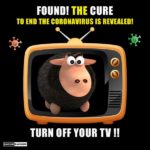 The true cure
